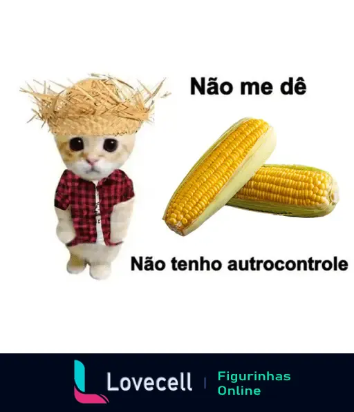 Gato fofinho com chapéu de palha e camisa xadrez, segurando milho. Texto: Não me dê, Não tenho autocontrole.