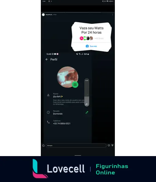 Tela de um aplicativo de mensagens com o perfil de um contato 'dani', mostrando o nome, status como 'Dormindo' e o número de telefone. No topo, há um aviso que diz 'Vaza seu Watts por 24 horas'.