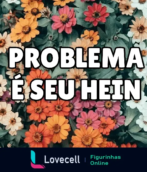 Figurinha de WhatsApp da pasta 'frases e indiretas' com flores coloridas ao fundo e o texto 'Problema é Seu Hein' em destaque.