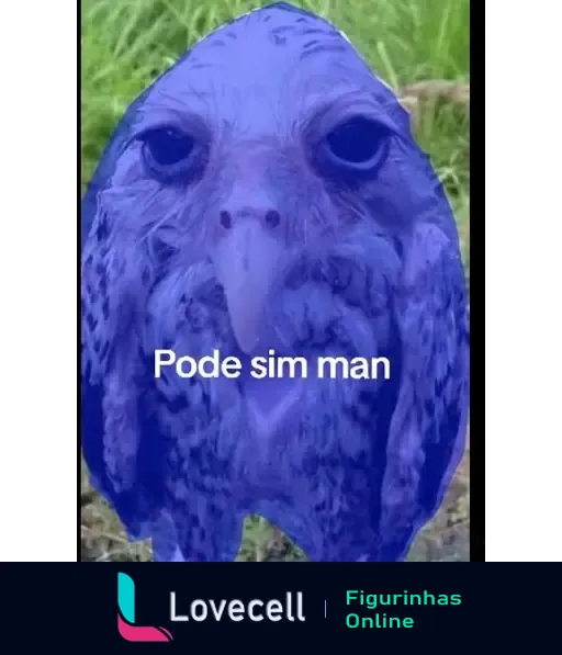 Figurinha engraçada com a imagem de um pássaro. Texto na imagem: 'Pode sim man'. Título: 'Pode sim man - figurinha engraçada'.