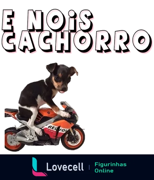 Cachorro preto e marrom em moto esportiva vermelha com expressão alerta e texto 'É Nois Cachorro'