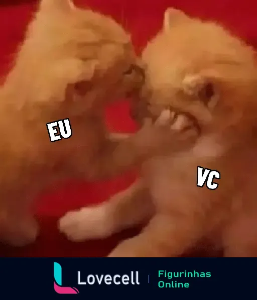 Dois gatinhos fofos brincando de luta. Um gatinho tigrado marca como EU e o outro, marcado como VC, levando um tapa.