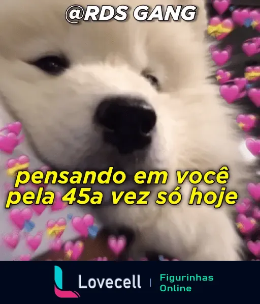 GIF de um cachorro fofo cercado de corações com a frase 'pensando em você pela 45ª vez só hoje'. Post apaixonado da @rds_gang.