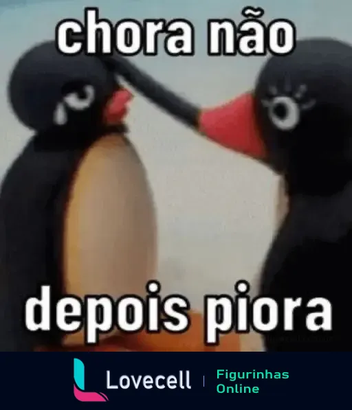 Imagem com dois pinguins onde um consola o outro com a mão no ombro. Texto: 'chora não depois piora'.