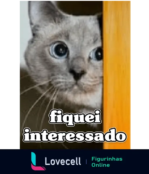 Figurinha de WhatsApp mostrando um gato com expressão curiosa e olhos azuis, espiando por trás de uma superfície amarela, com a frase 'fiquei interessado' em letras brancas