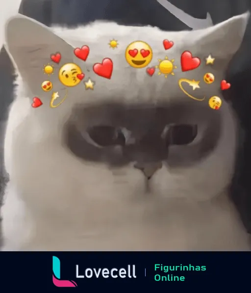 Um gato fofo com pelagem branca e cinza usando um filtro de emojis de corações e estrelas na cabeça, perfeito para expressar amor.