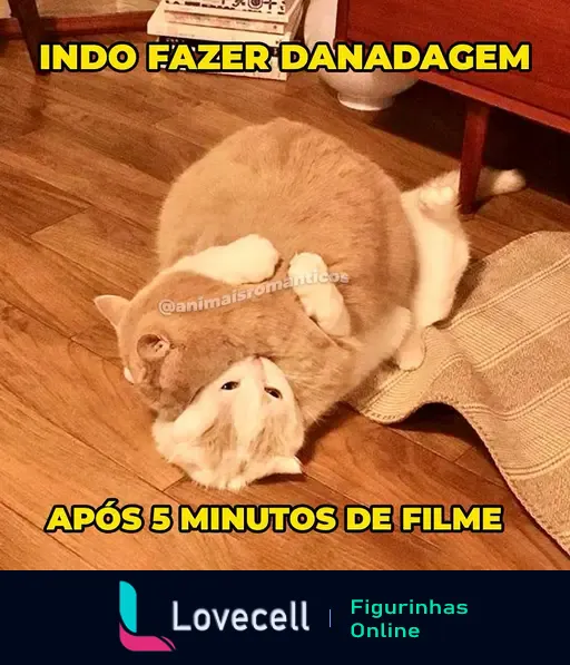 Dois gatos se abraçando no chão. Texto na imagem: 'INDO FAZER DANADAGEM' na parte superior e 'APÓS 5 MINUTOS DE FILME' na parte inferior.