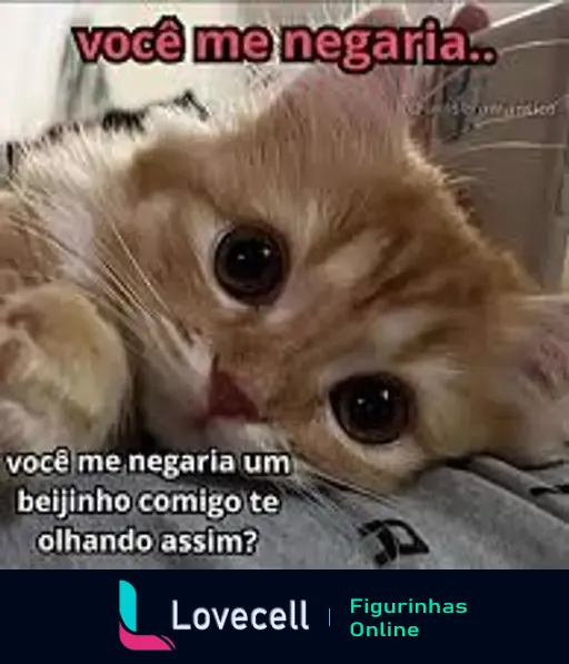 Imagem de um gato laranja com olhos grandes e expressivos, incluindo o texto 'você me negaria.. você me negaria um beijinho comigo te olhando assim?'