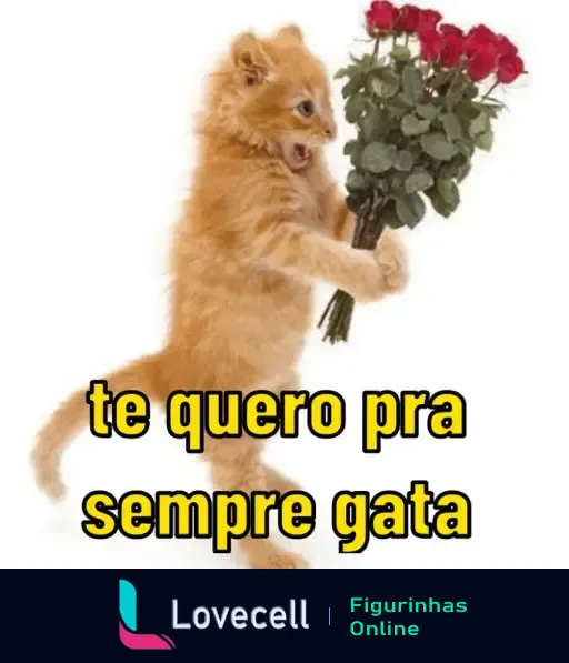 Gatinho segurando buquê de rosas com a mensagem 'te quero pra sempre gata', perfeita para o dia dos namorados.