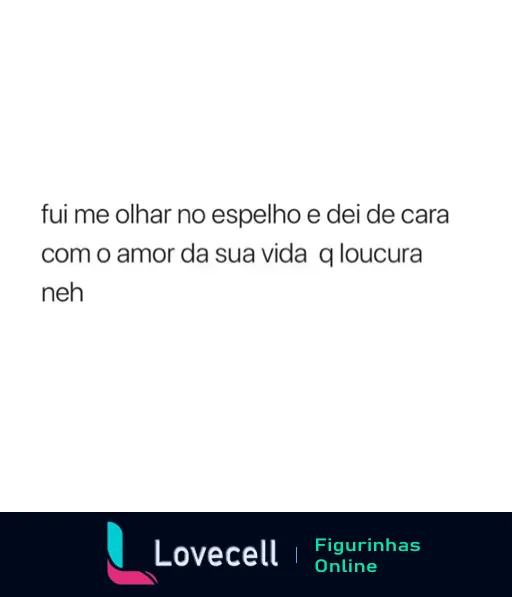 Figurinha com texto 'fui me olhar no espelho e dei de cara com o amor da sua vida q loucura neh' em preto sobre fundo branco, expressando humor e autoconfiança