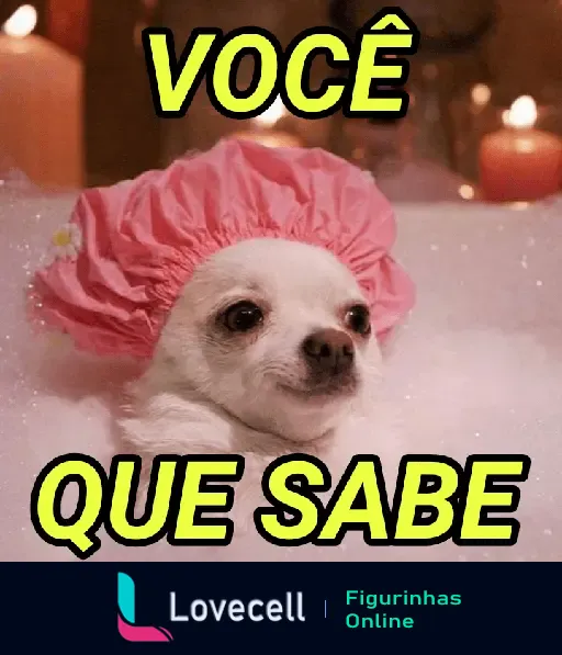 Cachorro relaxando na banheira com touca rosa, cercado por velas, transmitindo uma mensagem de 'Você que sabe'. Ideal para conversas entre namorados.