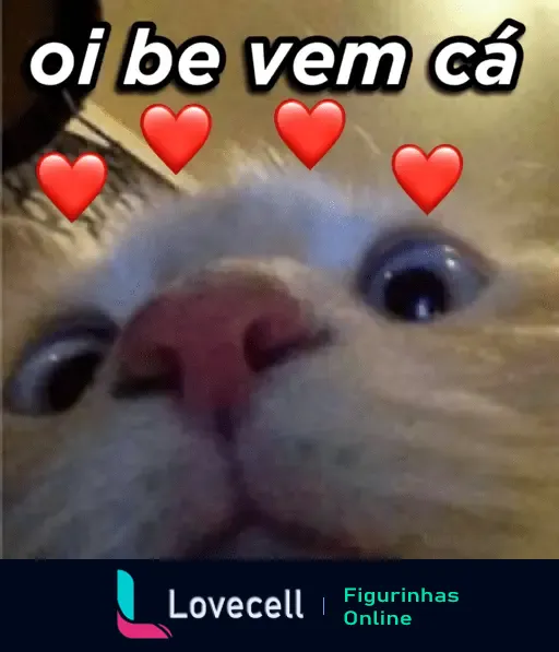 Imagem de um gato com olhos arregalados e vários corações ao redor. Texto: 'oi be vem cá'. Ótimo para expressar carinho em conversas.