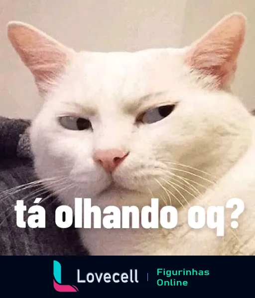 Gato branco com expressão irritada e texto 'tá olhando oq?' para expressar surpresa ou reação intensa