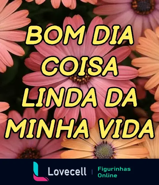 Imagem de flores com a mensagem 'BOM DIA COISA LINDA DA MINHA VIDA', parte da pasta de cantadas & indiretas.