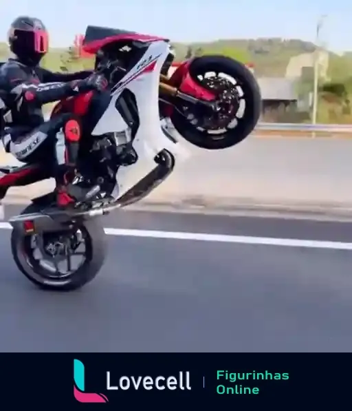 Moto empinada em alta velocidade realizada por motociclista com equipamento completo de proteção. Animação captura a habilidade extrema de controle e equilíbrio do piloto.