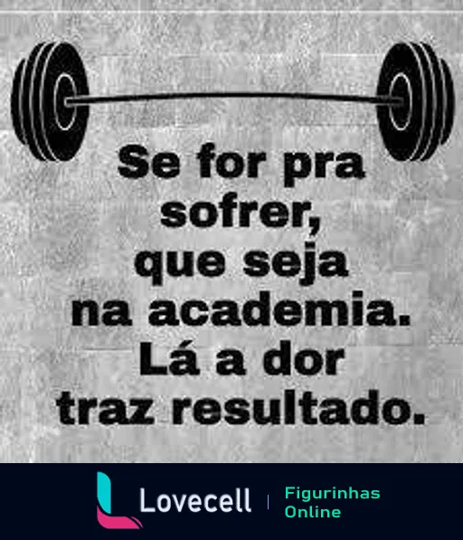 Figurinha com fundo cinza apresentando uma barra de halteres. Texto: 'Se for pra sofrer, que seja na academia. Lá a dor traz resultado.'