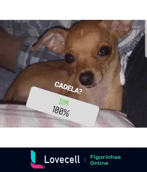 Figurinha debochada com cachorro pequeno e texto 'CADELA? SIM 100%', usada para respostas sarcásticas.