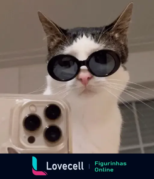 Gato com óculos escuros posando para selfie com um celular. Gato estiloso, engraçado e fofo para figurinhas de WhatsApp.