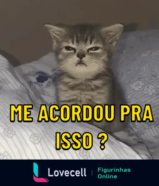 Um gato com expressão de descontentamento deitado em uma cama, com o texto 'ME ACORDOU PRA ISSO?' em amarelo na parte inferior.