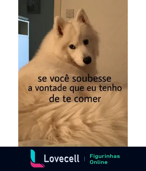 Um cão branco deitado, olhando para trás. Texto sobreposto: 'se você soubesse a vontade que eu tenho de te comer'.