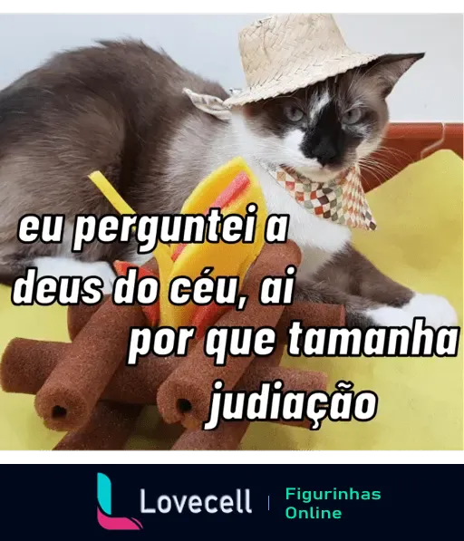 Gato com chapéu de palha e lenço colorido, com uma fogueira de brinquedo, em clima de festa junina. Texto: 'eu perguntei a deus do céu, ai por que tamanha judiação'.