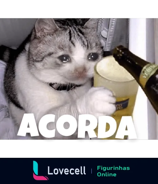 Figurinha de gato sonolento tocando copo de cerveja com texto ACORDA em maiúsculas