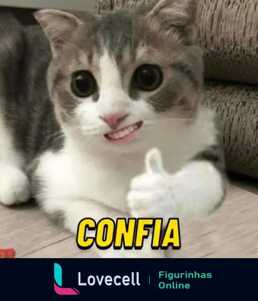 Figurinha de WhatsApp com gato cinza e branco, expressão engraçada, rosto humano sorridente editado, mão humana fazendo sinal de positivo, com a palavra 'CONFIA' em destaque