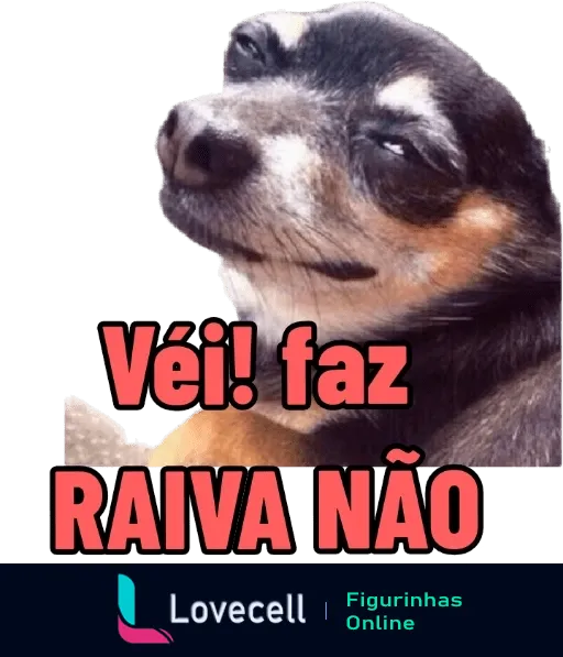 Figurinha de cachorro com expressão tranquila e cômica e texto 'Véi! faz RAIVA NÃO', para apaziguar ânimos ou acrescentar humor