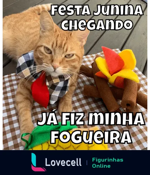 Gato vestido para festa junina com gravata e fogueira de brinquedo ao lado. Texto: 'Festa Junina Chegando, Já Fiz Minha Fogueira'.