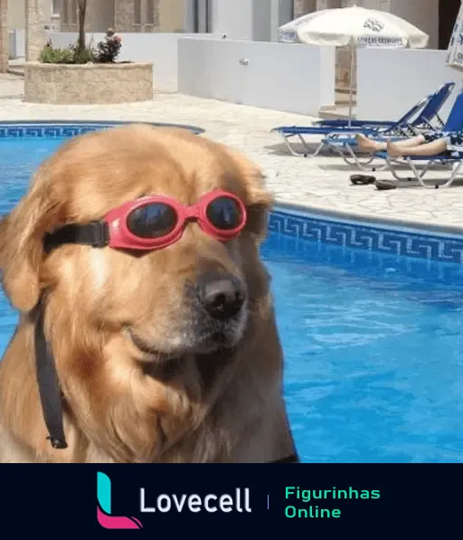 Cachorro com óculos de natação rosas relaxando ao lado da piscina em um dia quente. Perfeito para humor e bichinhos com calor.