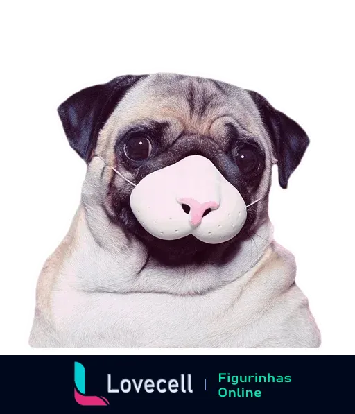 Figurinha de pug engraçado com expressão peculiar, olhos grandes e focinho marcante, perfeita para conversas divertidas entre amantes de pets