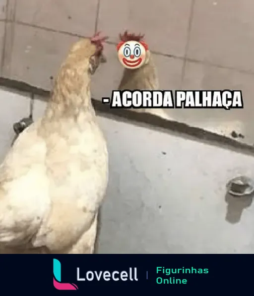 Galinha se olhando no espelho com a frase Acorda Palhaça