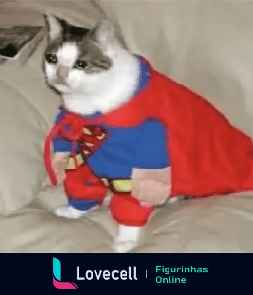 Gato de pelagem branca e cinza vestido como Super-Homem, sentado em um sofá com capa vermelha