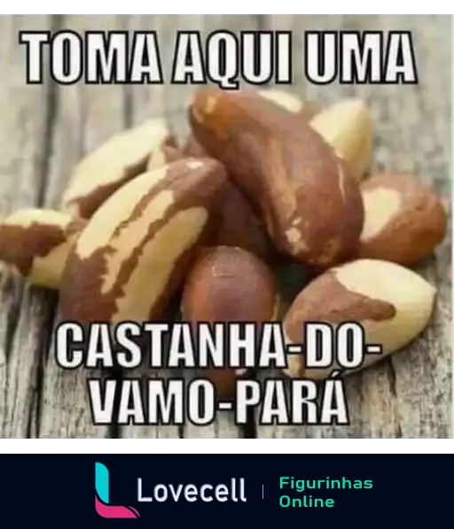 Figurinha com punhado de castanhas-do-pará sobre madeira e texto 'TOMA AQUI UMA CASTANHA-DO-VAMO-PARA' em tom humorístico