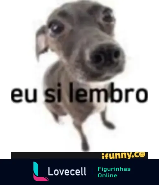 Um cachorro com expressão curiosa e um texto em destaque dizendo 'eu si lembro'. Meme divertido que é popular nas redes sociais.