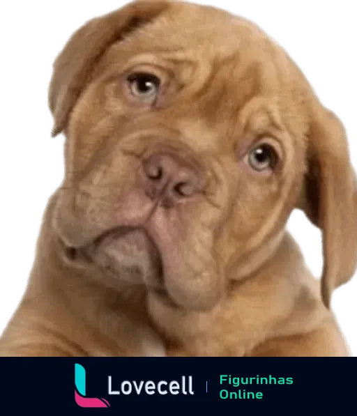 Figurinha de um filhote de Dogue de Bordeaux com pelagem castanha e olhos expressivos parecendo confuso e curioso