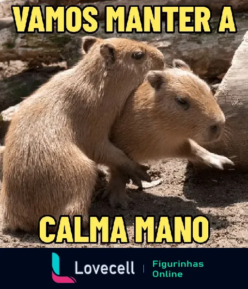 Dois filhotes de capivara, um consolando o outro com a mensagem Vamos manter a calma mano. Capivaras reconfortantes.