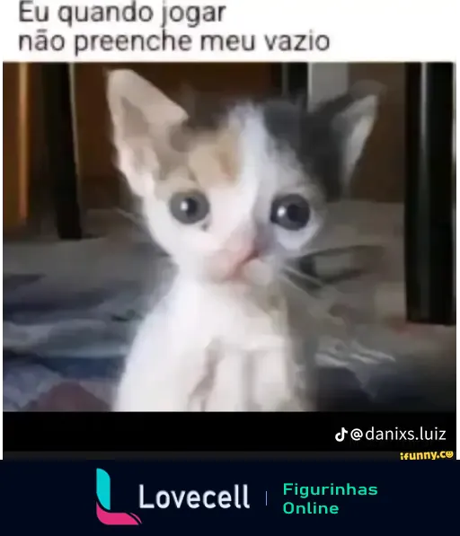 Meme de um gato com olhos grandes e expressão triste. Texto: 'Eu quando jogar não preenche meu vazio'. Tags: meme, memes.