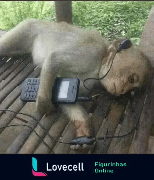 Macaquinho deitado em uma superfície de madeira, segurando um celular e usando fones de ouvido, parecendo relaxado.