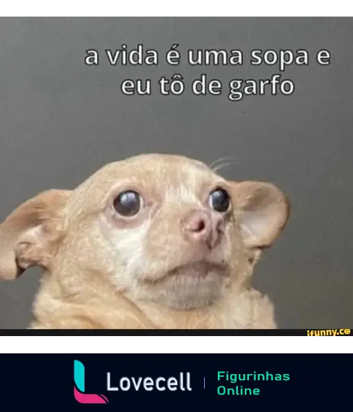 Um cachorro com expressão confusa. O texto acima diz: 'a vida é uma sopa e eu tô de garfo', representando humor e reflexões sobre a vida.