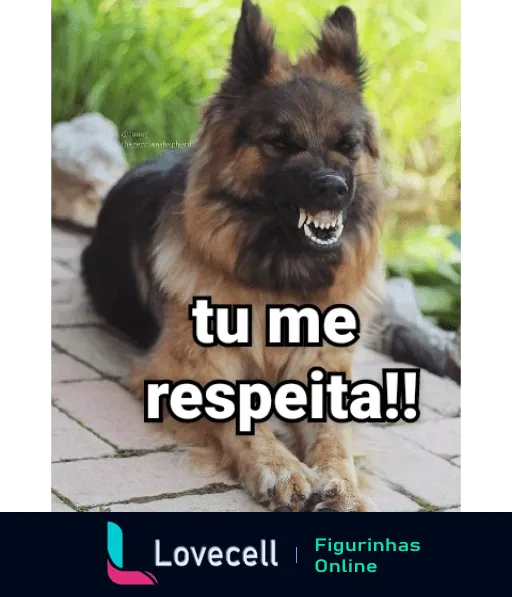 Sticker de WhatsApp com cachorro de pelagem longa e escura sentado em caminho de pedras, cercado por grama verde, mostrando os dentes com expressão feroz e texto 'tu me respeita!!' em destaque