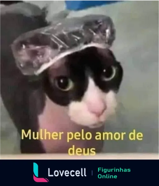 Gato surpreso com touca de banho e a legenda 'Mulher pelo amor de deus' expressando reação humorística