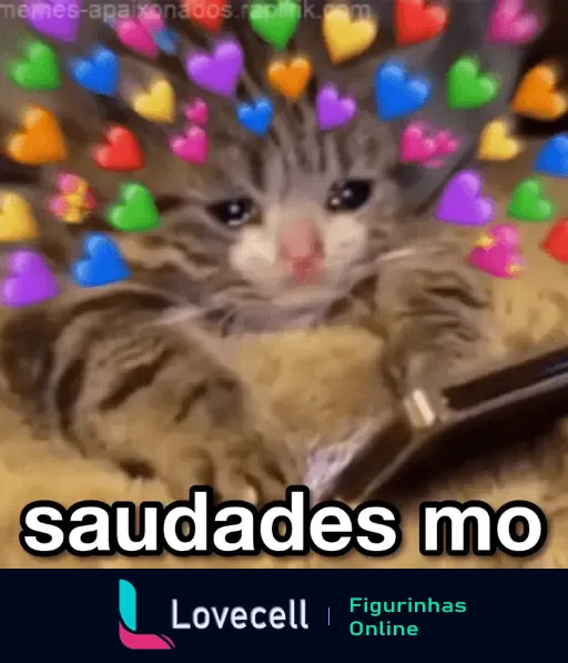 Gif de um gatinho cercado de corações coloridos olhando para um celular, com o texto 'saudades mo', expressando saudade de forma fofa.