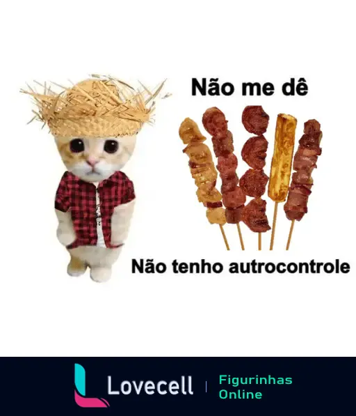 Gato com chapéu de palha e camisa xadrez ao lado de espetinhos de churrasco com texto engraçado sobre falta de autocontrole - festa junina