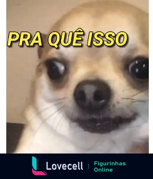 Imagem de um cachorro pequeno com expressão de surpresa e confusão. Texto na imagem 'PRA QUÊ ISSO?' em letras maiúsculas amarelas.