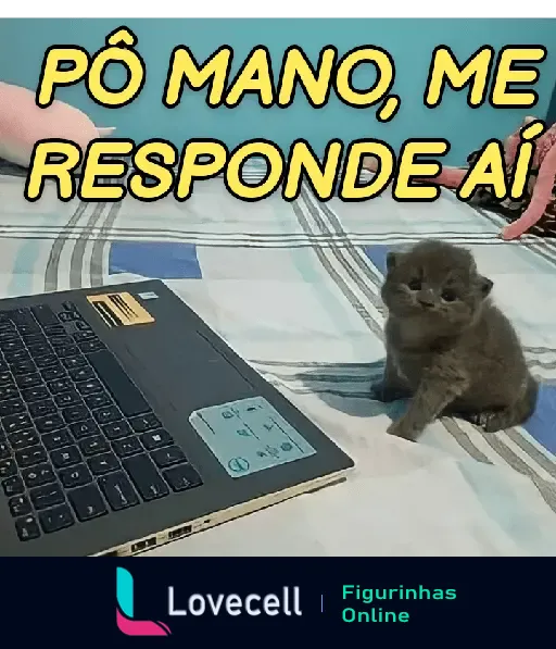 Um gatinho cinza sentado ao lado de um laptop em uma cama, com a frase 'Pô mano, me responde aí'.