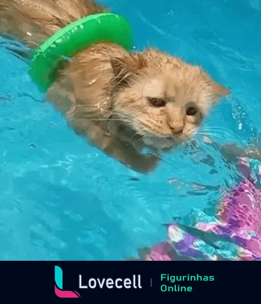 Um adorável gatinho laranja nadando em uma piscina com um salva-vidas verde para se refrescar no calor. Água azul cristalina ao redor.