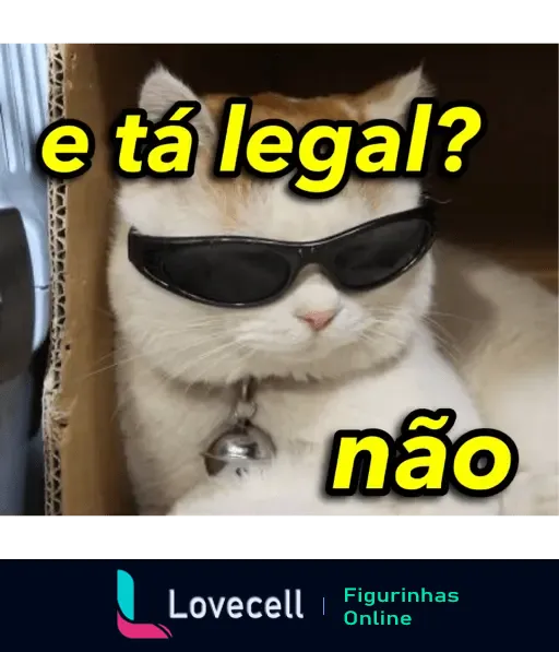 Gato branco com óculos escuros e coleira com sino prateado, em uma caixa de papelão, com o texto 'e tá legal? não'.