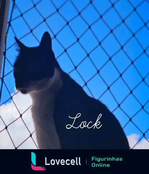 Figurinha de WhatsApp mostrando gato Lock sentado atrás de cerca de arame, com céu azul vibrante e nuvens brancas ao fundo, transmitindo calma e contemplação