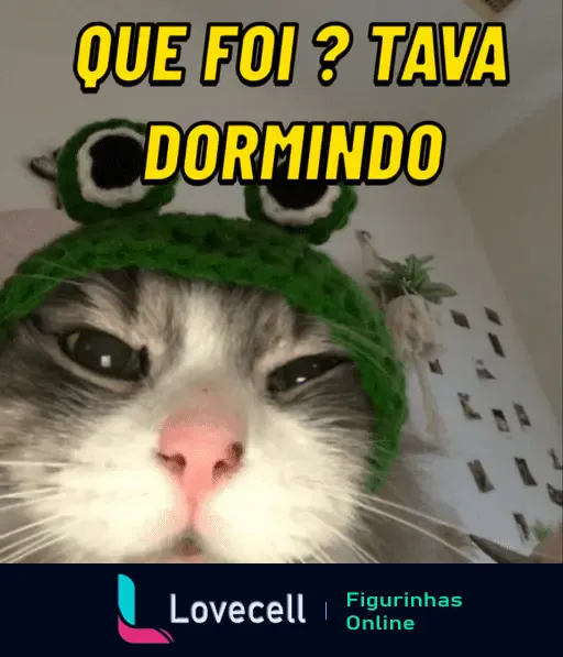 Um gato com uma pequena touca verde de sapo está com os olhos semi-cerrados e um texto em amarelo diz: 'QUE FOI? TAVA DORMINDO'.